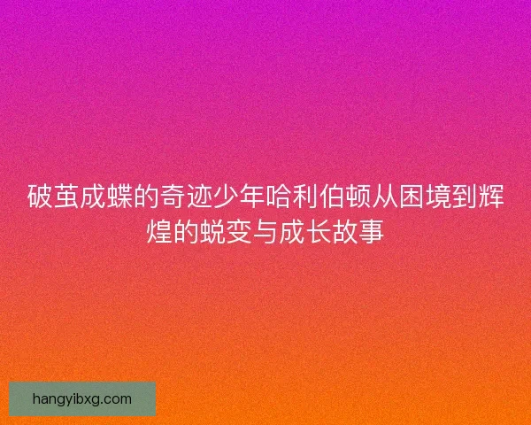破茧成蝶的奇迹少年哈利伯顿从困境到辉煌的蜕变与成长故事